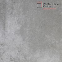Клинкерные ступени и плитка WesterWalder WKS31110 в Симферополе